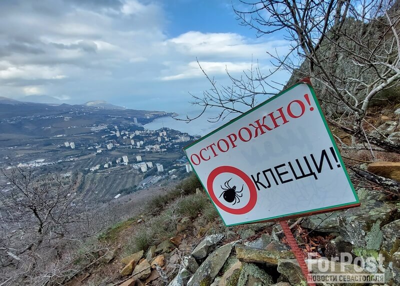клещи в крыму